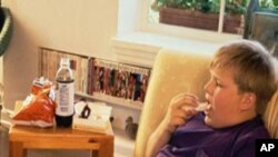 胖子多半不干体力活。