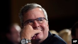 Jeb Bush