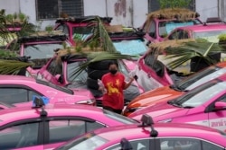 Workers from two taxi businesses take care of gardens on the rooftops of unused taxis parked in Bangkok, Thailand, Sept. 16, 2021. (AP / Sakchai Lalit)