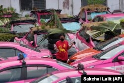 Workers from two taxi businesses take care of gardens on the rooftops of unused taxis parked in Bangkok, Thailand, Sept. 16, 2021. (AP / Sakchai Lalit)