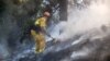 Kebakaran Hutan di California Hanguskan 800 Kilometer Persegi