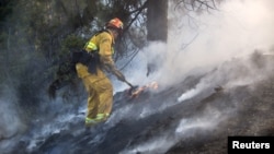 A firefighter works to put out a brush fire burning on the eastbound Ventura (134) Freeway in Los Angeles, California, Aug. 7, 2015. 