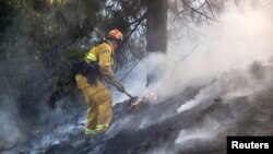 Seorang petugas berusaha memadamkan kebakaran hutan di Ventura, Los Angeles, California (7/8).