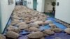 Thousands of Sea Turtles Rescued on Texas Island Town
