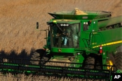 FILE - A farmer uses a combine to harvest his soybean field Oct. 21, 2014, in Loami, Ill.
