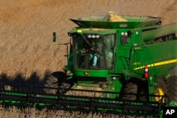 FILE - A farmer uses a combine to harvest his soybean field in Loami, Illinois, Oct. 21, 2014.