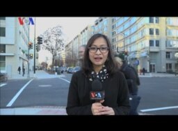 Pilkada di Amerika Serikat