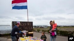 Hollandîyek hewil dide ku laleyên ku jiber korona nehatiye firotin bi awayî bifroşe