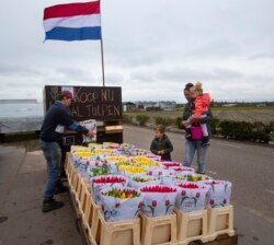 Frans van der Slot, left, puts tulips for sale on a stand outside his farm in Lisse, near Amsterdam, Netherlands, Thursday, March 19, 2020.