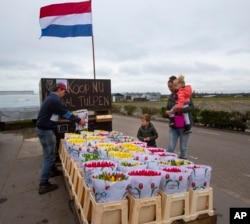 Frans van der Slot, left, puts tulips for sale on a stand outside his farm in Lisse, near Amsterdam, Netherlands, Thursday, March 19, 2020.