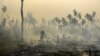 Brazil forest fire affecting Porquinhos indigenous lands in Maranhao state in Brazil's Amazon basin.