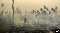 Brazil forest fire affecting Porquinhos indigenous lands in Maranhao state in Brazil's Amazon basin.