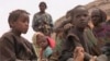 Regional Coordination Needed to Restore Peace in Sahel