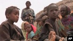 The Tuareg rebellion in northern Mali has pushed tens of thousands of people into Niger where the refugee crisis has intensified a looming food crisis.