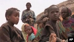 The Tuareg rebellion in northern Mali has pushed tens of thousands of people into Niger where the refugee crisis has intensified a looming food crisis in the region.