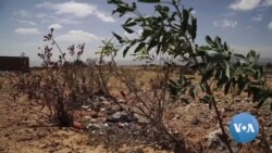 Tigray War Victims Buried in Mass Graves