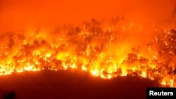 Bencana kebakaran hutan melanda kawasan hutan nasional Sequoia dekat Hot Springs, California September tahun 2021. 