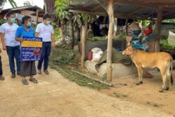 Charan Damrongkiatpana menunjukkan poster setelah memenangkan undian dalam program vaksinasi berhadiah sapi untuk meningkatkan vaksinasi COVID-19 di Provinsi Chiang Mai, Thailand, 8 Juni 2021. (Foto: Stringer/Reuters)