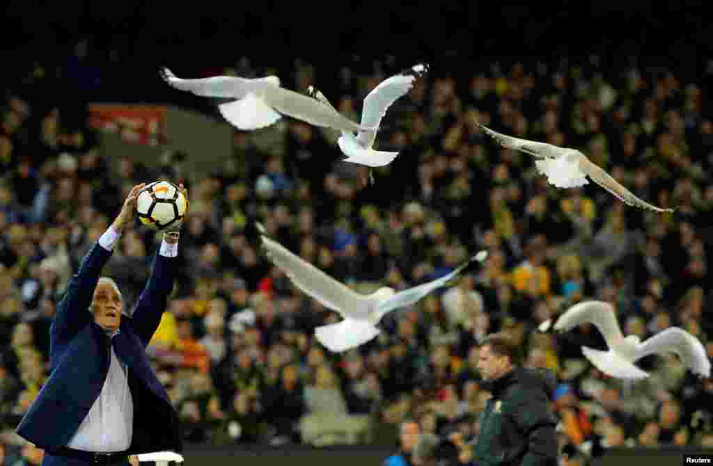 Brazil national soccer team coach Adenor Leonardo Bacchi - known as Tite - catches a ball while seagulls fly around the Melbourne Cricket Ground in Melbourne, Australia.