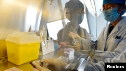 4月3日,北京的衛生防護部門技術人員正進行H7N9禽流感疫苗測試。
