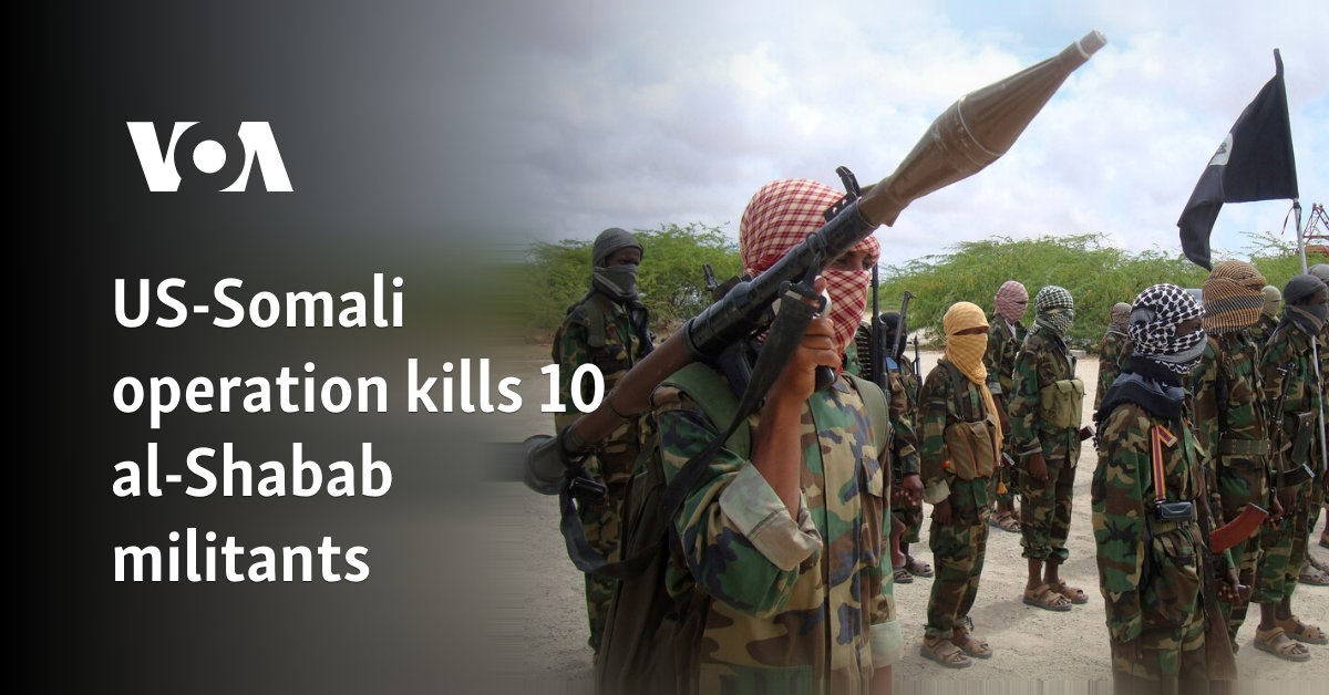 US-Somali operation kills 10 al-Shabab militants