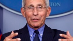 VOA: Trump: Fauci testificará ante el Senado de EEUU, pero no la Cámara baja