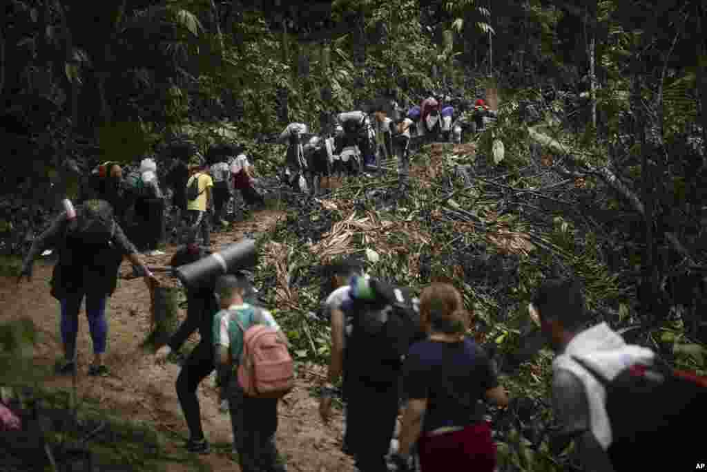 Una larga fila de migrantes cruza el Tapón del Darién desde Colombia a Panamá, esperanzados en llegar a Estados Unidos. Visto el el martes 9 de mayo de 2023. [Foto: Iván Valencia]