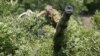 Ukraine, Rebels Reach Preliminary Deal to Extend Weapons Pull-Back