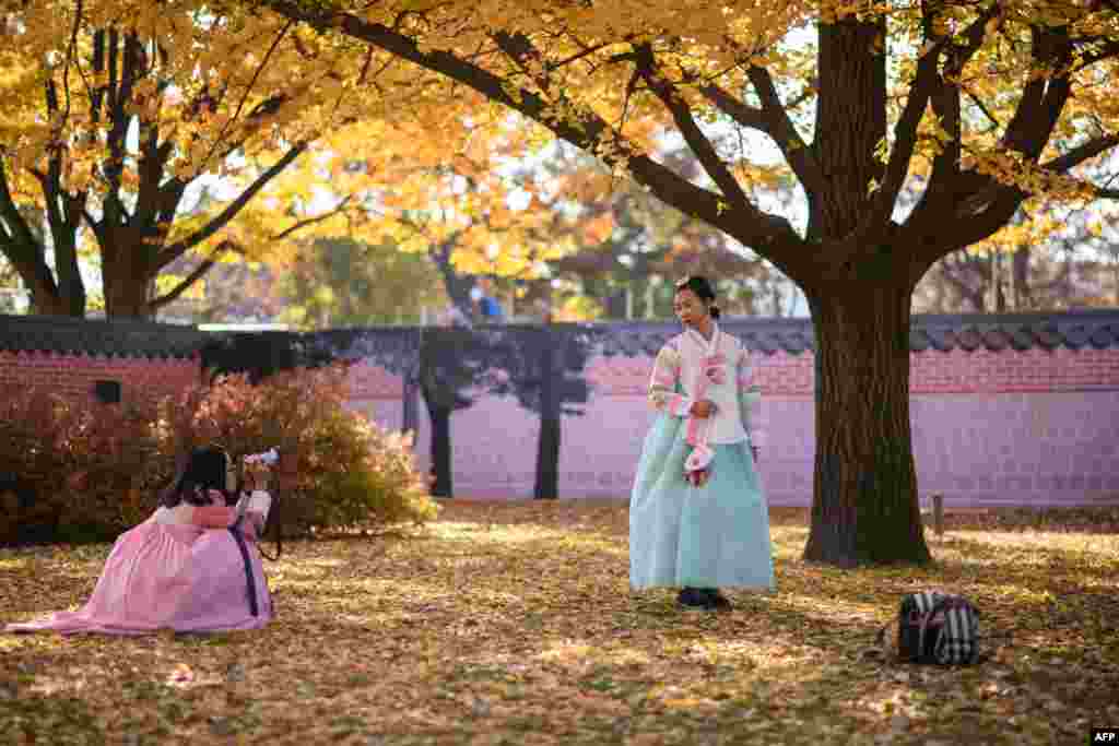 فصل پاییز در کره جنوبی و ژست این خانم با لباس سنتی کره جنوبی مقابل دوربین عکاسی در کنار برگهای پاییزی