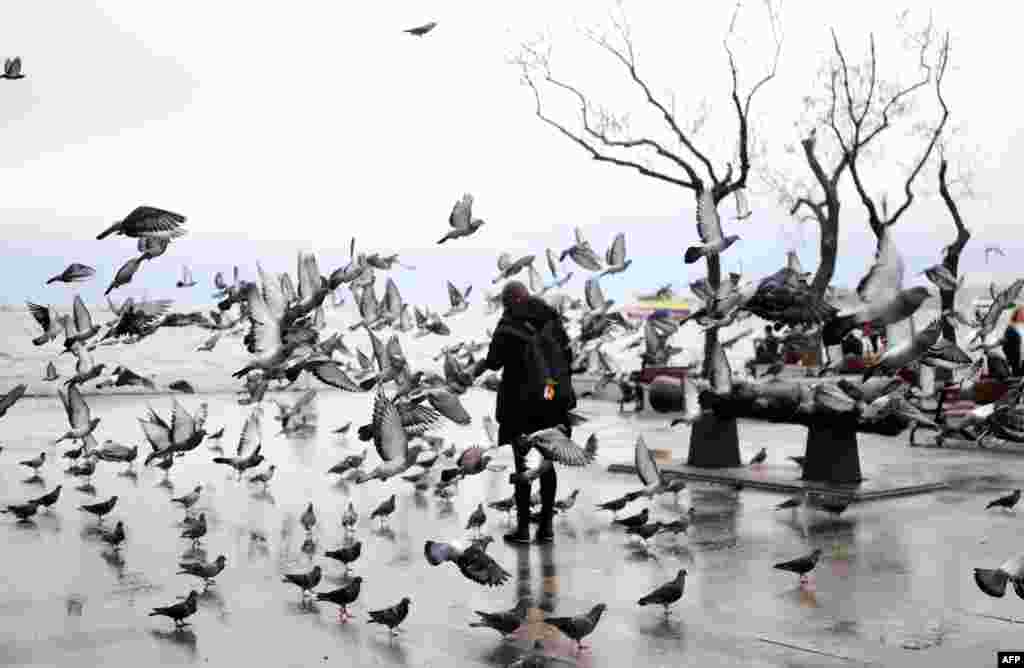 A Turkish woman feeds pigeons during a rainy day at Besiktas in Istanbul. 