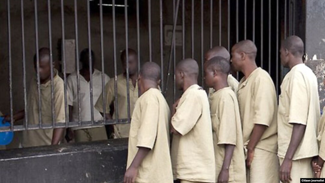 Zimbabwe Prisoners 