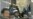 Study: Neglected Tropical Diseases Surfacing in Central Asia