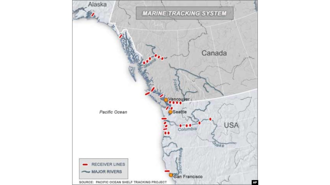POST hopes to have listening lines deployed from shore to the edge of the continental shelf from the Bering Sea in Alaska south to Mexico.