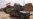 Iraqi Official Declares Fallujah 'Fully Liberated'