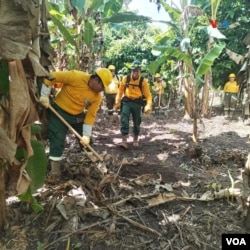 Bolivia sufre los embates de incendios forestales que han devastado altas cifras de hectáreas.