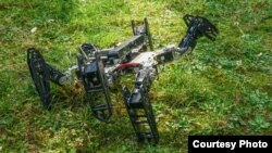 This damaged robot tests different responses using a trial-and-error algorithm and can learn to get up and keep walking in about a minute. (Credit: Antoine Cully/Pierre and Marie Curie University)