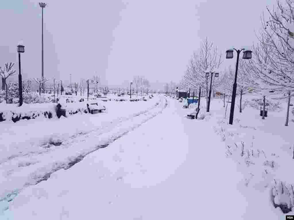 دریاچه چیتگر تهران عکس: شیدا (ارسالی شما)