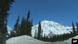 Mount Rainier is seen from the road to Paradise Visitor Center at Mount Rainier National Park on Sunday, June 1, 2014.