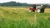 中國購買美農地引發擔憂 美國會推出《促進農業保障和安全法案》
