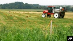 美國眾議院撥款委員會2021年批准了一項禁止中國企業在現有基礎上再擁有更多美國農田的條款