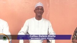 Guinea : Diallo ashiriki maandamano dhidi ya Rais Conde