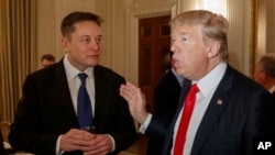 ARCHIVO - El presidente Donald Trump habla con el director general de Tesla y SpaceX, Elon Musk, en la Casa Blanca en Washington, el 3 de febrero de 2017. 