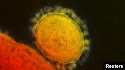 Koronavirus koji izaziva MERS, viđen pod mikroskopom na američkom Instituitu za alergije i zarazne bolesti