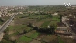 Senegal Agroecology