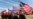 US, Partners Plan European Military Exercise with 25,000 Troops