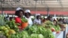 Moxico quer intensificar produção agrícola