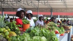 Campos de minas dão lugar a agricultura em Cuito Cuanavale - 2:30