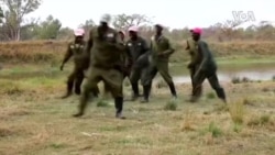 Zimbabwe's Jerusalema Dance With Rescued Wildlife Video Goes Viral