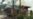 Are Rohingya Muslims Being Wiped Off Myanmar's Map?