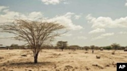 Abaaro laga soo Sheegayo Somaliland